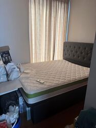 The Suites At Central (D9), Condominium #575063311